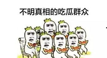 吃瓜群众2图片,一场视觉盛宴背后的故事