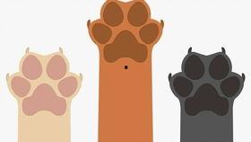 凑热闹吃瓜文案,揭秘娱乐圈幕后故事