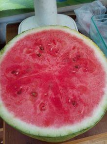 介休医院吃瓜,真相与反思