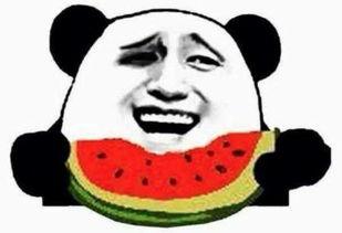 吃瓜群众专门吃瓜