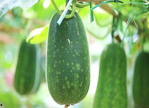 3区吃瓜,揭秘3区吃瓜背后的秘密与趣味