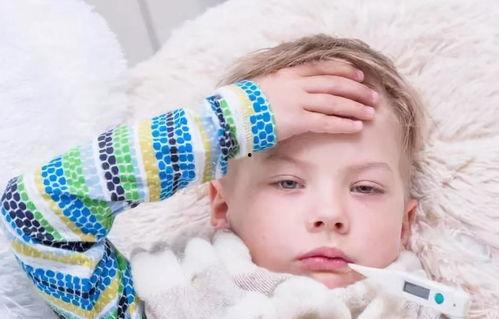 吃瓜体温上升,揭秘夏日炎炎中的清凉奥秘