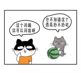 吃瓜都没吃明白什么道理,道理何在？揭秘网络热议背后的真相与启示