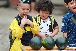 萌娃吃瓜场面,萌态百出，萌化人心