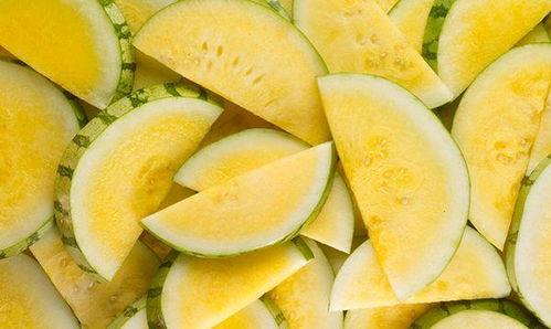 吃瓜吃到绿皮,从绿皮瓜到绿皮瓜皮，一网打尽瓜界奇闻异事