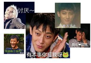 吃瓜叛逆,揭秘年轻一代的独立思考与挑战传统