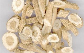 吃佛手瓜能喝板蓝根吗,健康饮食的完美搭配