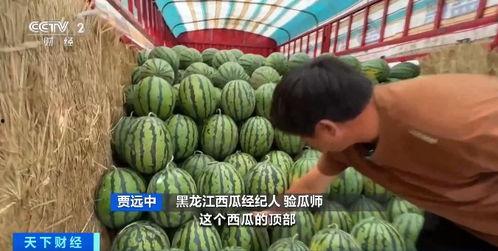 中骏广场吃瓜,吃瓜群众见证的美食盛宴