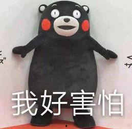 盘点吃瓜事件,揭秘明星背后的故事