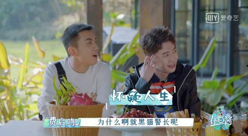 春日观众吃瓜全文,揭秘娱乐圈幕后风云