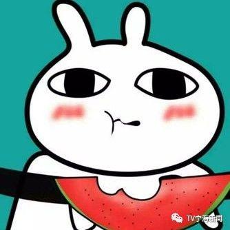 吃瓜群众小飞飞,吃瓜群众的趣味生活点滴