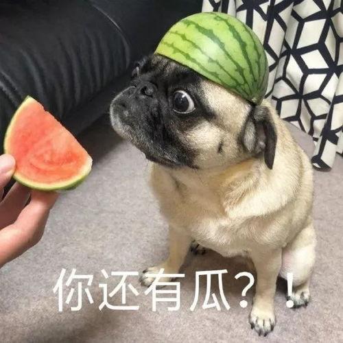 沙雕带你吃瓜,揭秘娱乐圈幕后真相