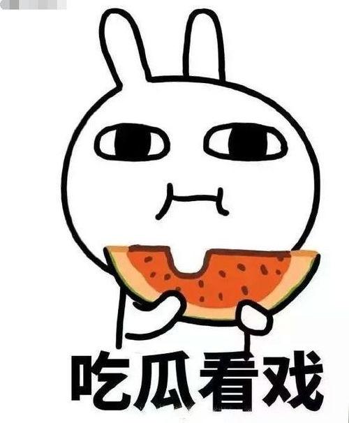 瓜要怎么吃呐,解锁夏日清凉美味新吃法