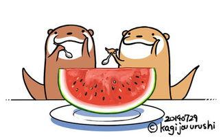 吃瓜小熊中式教育,中式教育下的成长故事