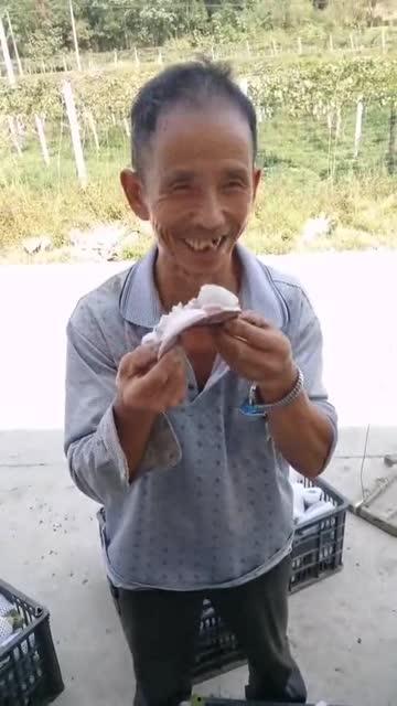 吃瓜大叔365,揭秘娱乐圈那些事儿