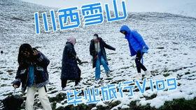 川西吃瓜,探寻巴蜀美食的独特魅力