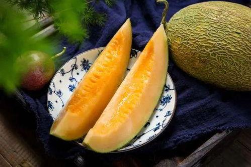 哈密瓜应该什么季节吃,尽享哈密瓜的甘甜时光