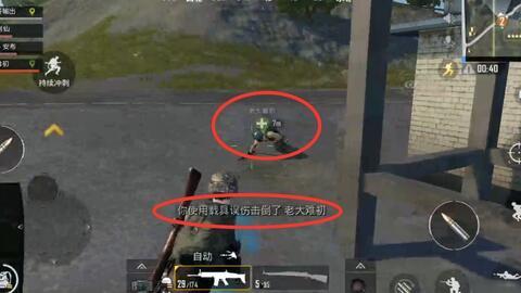 吃鸡天下大瓜,揭秘热门游戏背后的精彩故事