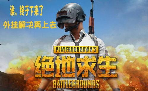 吃鸡天下大瓜,揭秘热门游戏背后的精彩故事