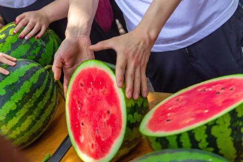 大学vr吃瓜,大学VR吃瓜，揭秘校园热点风云