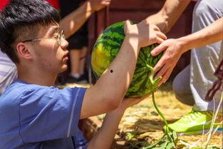 大学vr吃瓜,大学VR吃瓜，揭秘校园热点风云