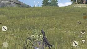 伏地吃瓜魔,揭秘网络时代的神秘现象