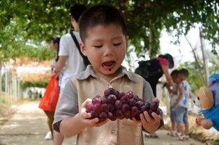 仲恺大队吃瓜,一场别开生面的“吃瓜”盛宴