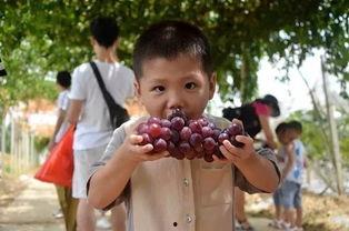 仲恺大队吃瓜,一场别开生面的“吃瓜”盛宴