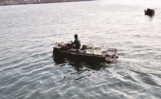 吃瓜哥奇葩船,揭秘奇葩船的奇幻之旅