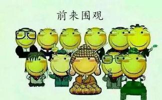 吃瓜群众1697,一场全民参与的娱乐盛宴