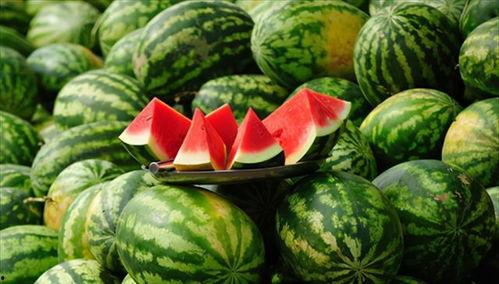 吃瓜还瓜,瓜中乾坤，趣味无限