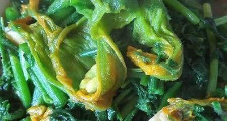 云南吃的瓜尖,探寻独特瓜尖美食之旅