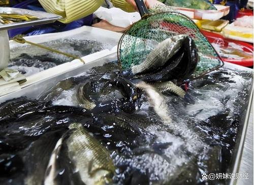 湖北鱼老板吃瓜,一场意外的网络狂欢