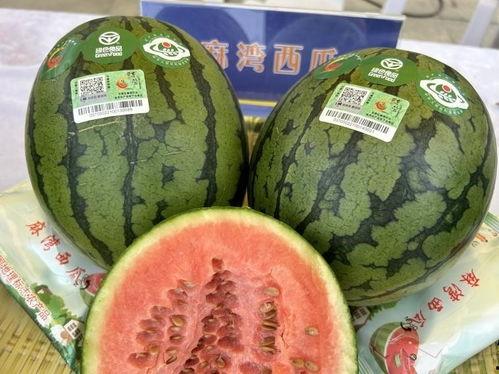 东营港吃瓜视频