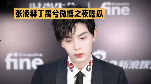 吃瓜丁禹兮,吃瓜群众眼中的娱乐圈风云人物