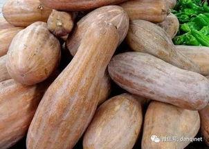 胡子吃方瓜吗,一场意想不到的美食之旅