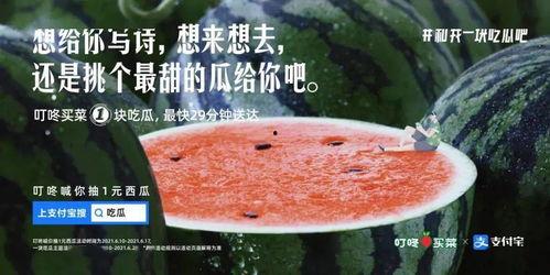 认真吃瓜文案,揭秘“认真吃瓜”背后的趣味与智慧