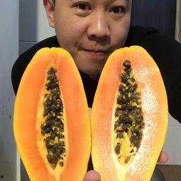 吃瓜吃到美食视频下载,跟随视频下载，解锁美味瞬间