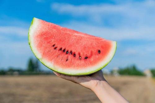 吃瓜系统特色,网络舆论场中的“瓜农”与“瓜果”