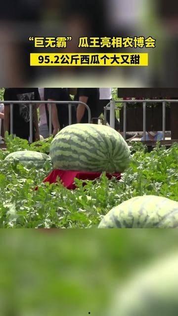 星沐吃瓜,揭秘娱乐圈幕后故事