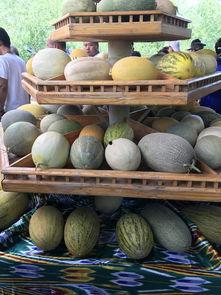 吃瓜事件新疆,揭秘背后的真相与反思