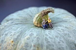 艺术家吃瓜,创意与美食的奇妙碰撞