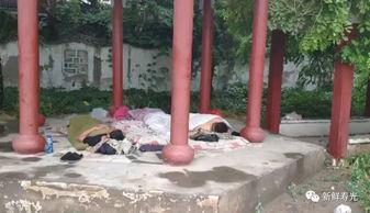 自制吃瓜凉亭教程,自制吃瓜凉亭教程全解析