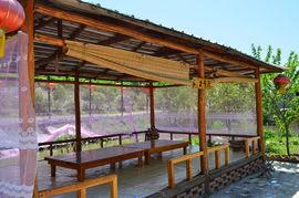 自制吃瓜凉亭教程,自制吃瓜凉亭教程全解析