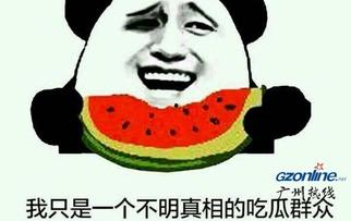 吃瓜指的是什么,网络热词背后的文化现象