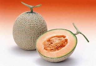 暖阳吃哈密瓜,一场味蕾与阳光的邂逅