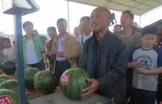 雷州吃瓜群众新闻