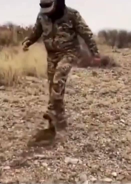 吃瓜保熟钢铁侠