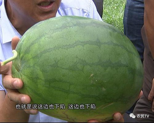 优篮子吃瓜,揭秘娱乐圈幕后故事