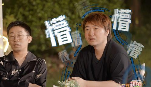 吃瓜龙凤胎,揭秘双胞胎的趣味成长故事